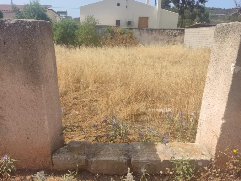Καθαρισμός οικοπέδου στην Ανάβυσσο