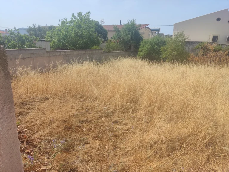 Καθαρισμός οικοπέδου στην Ανάβυσσο
