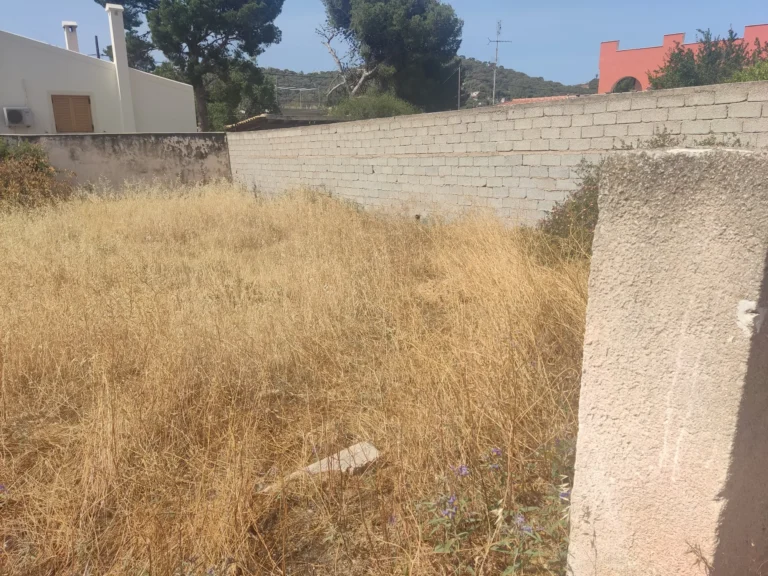 Καθαρισμός οικοπέδου στην Ανάβυσσο