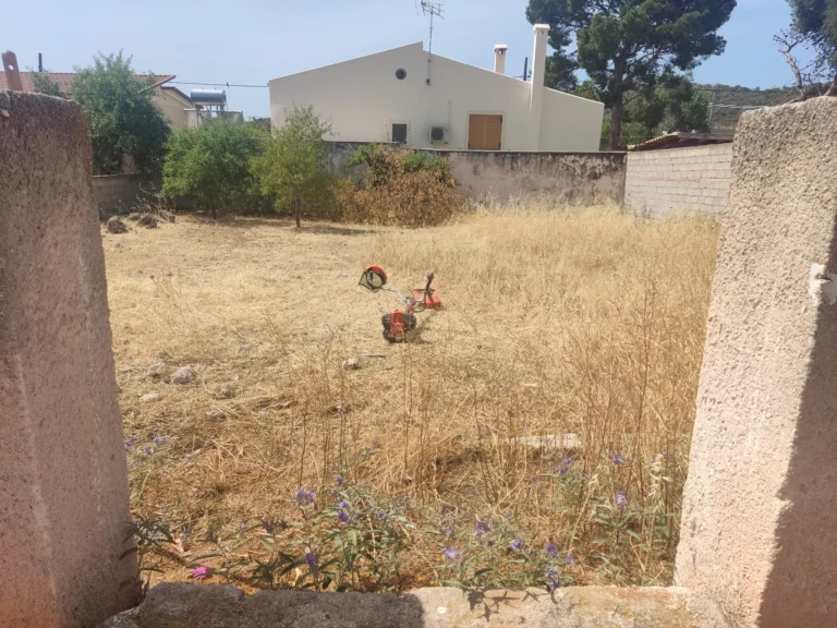 Καθαρισμός οικοπέδου στην Ανάβυσσο