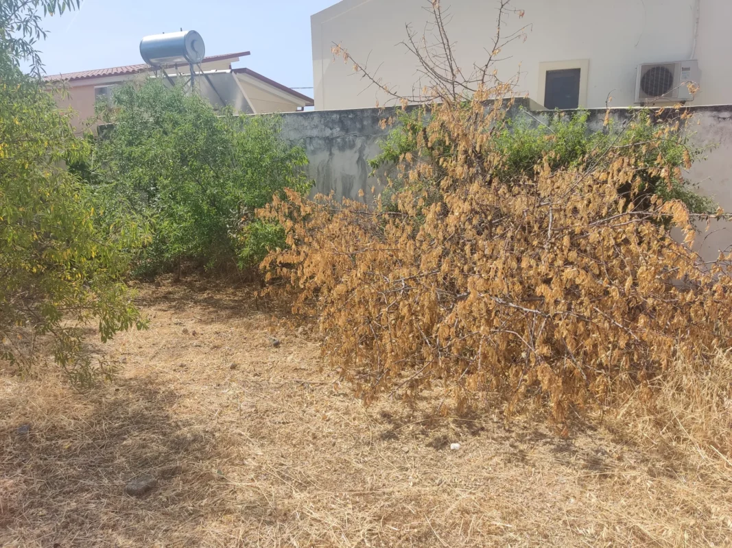 Καθαρισμός οικοπέδου στην Ανάβυσσο