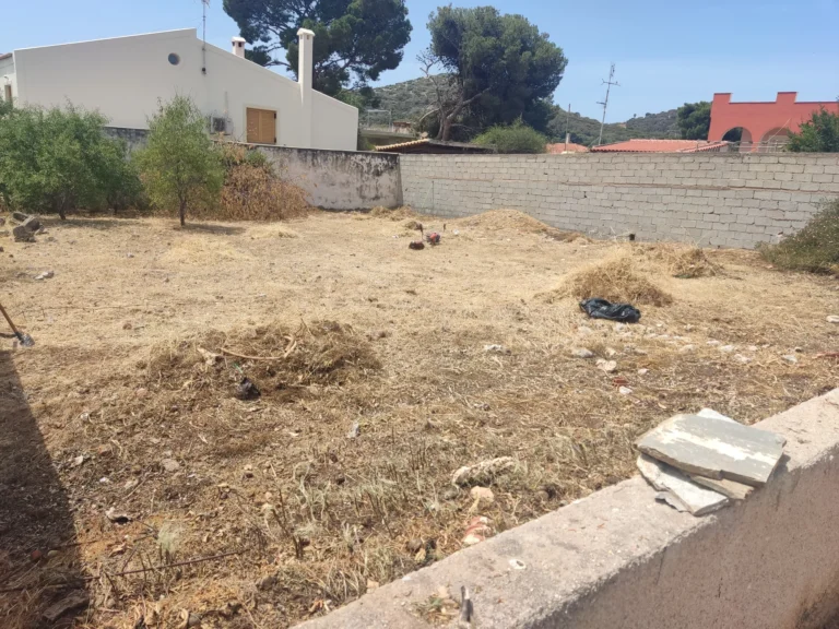 Καθαρισμός οικοπέδου στην Ανάβυσσο