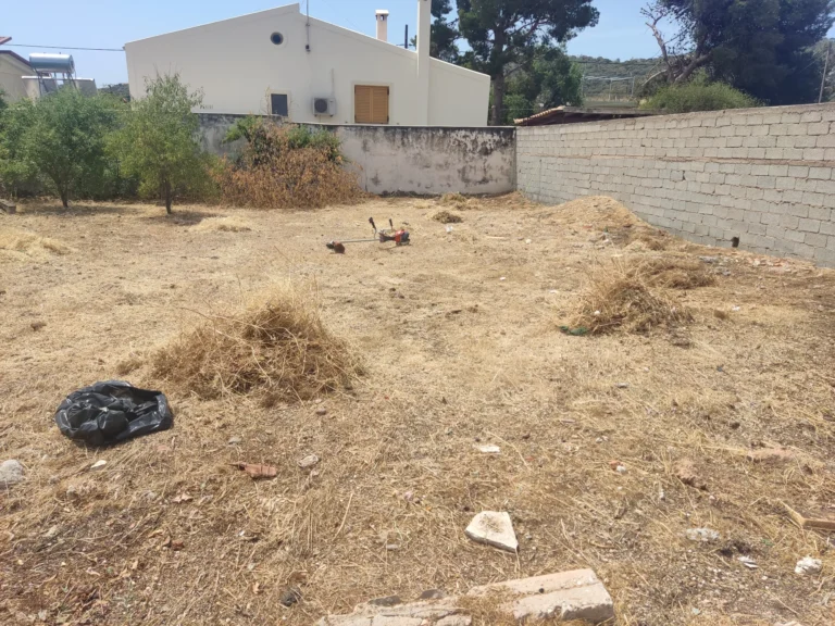 Καθαρισμός οικοπέδου στην Ανάβυσσο