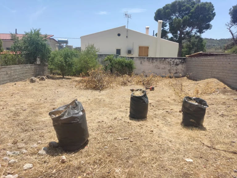 Καθαρισμός οικοπέδου στην Ανάβυσσο