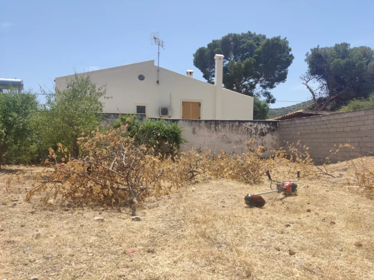 Καθαρισμός οικοπέδου στην Ανάβυσσο