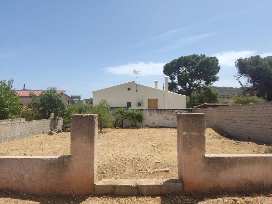 Καθαρισμός οικοπέδου στην Ανάβυσσο