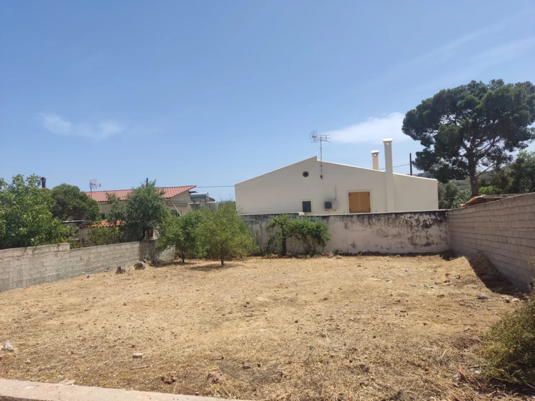 Καθαρισμός οικοπέδου στην Ανάβυσσο