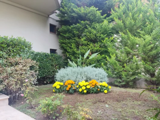 Σύνθεση - Λεβάντες με κατιφέδες